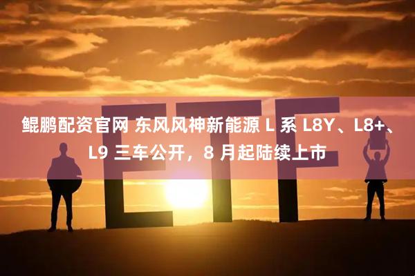 鲲鹏配资官网 东风风神新能源 L 系 L8Y、L8+、L9 三车公开，8 月起陆续上市